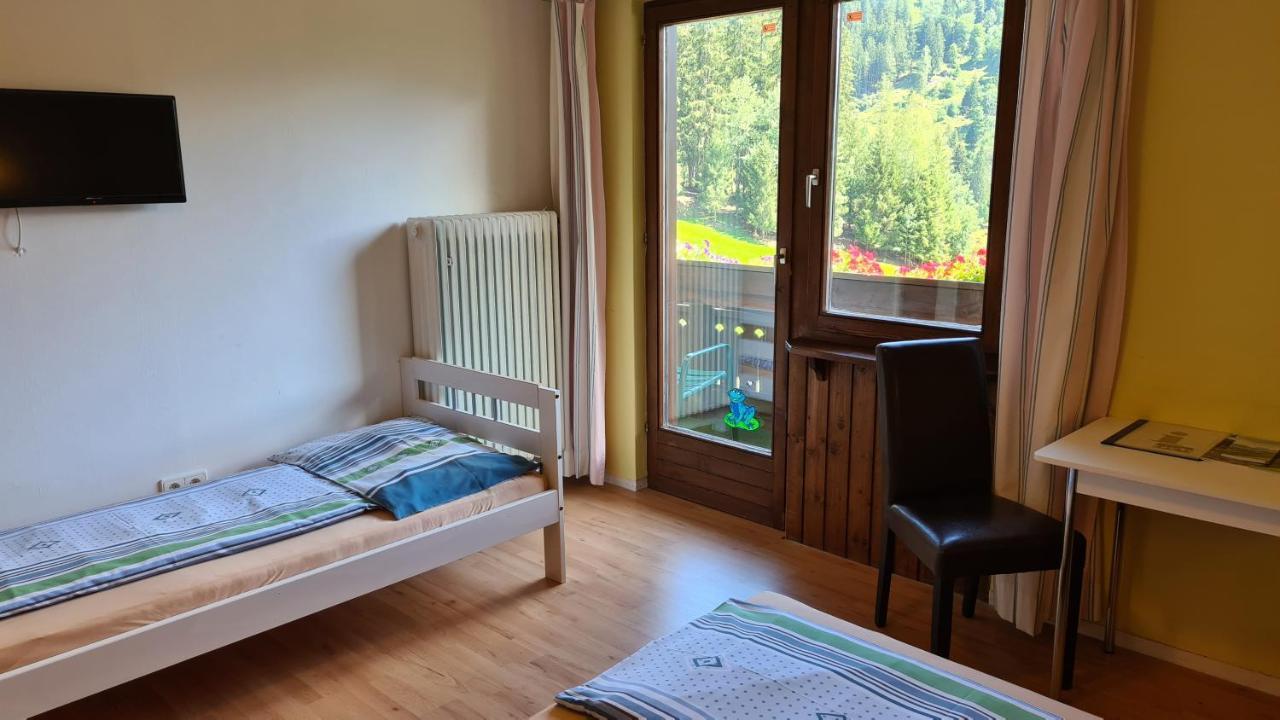 My Appartement - Haus Waldeck 斯拉德明 外观 照片