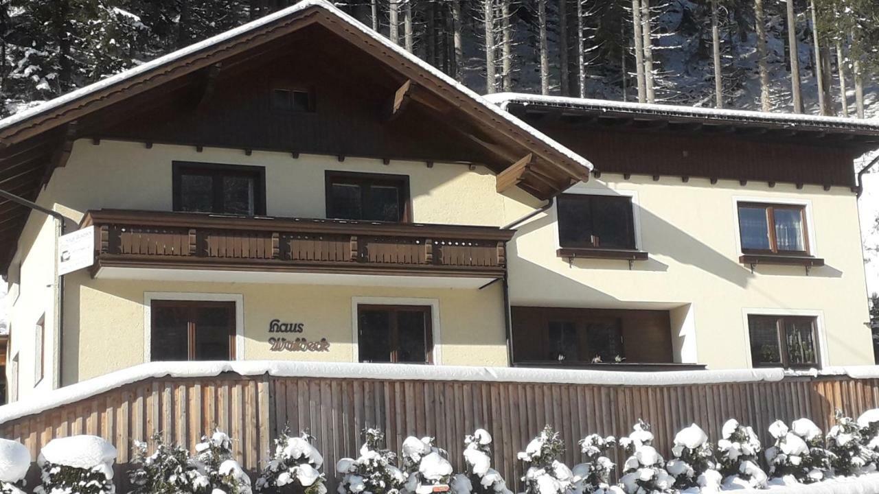 My Appartement - Haus Waldeck 斯拉德明 外观 照片